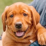 Profile Picture of Judge (@redlabjudge) on Instagram