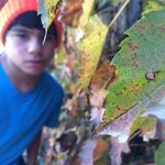 Profile Picture of mark leyva (@mark.leyva) on Instagram