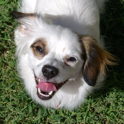 Profile Picture of Lindsay Jane Stubbs (@igro4u) on Twitter