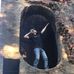 Profile Picture of Ryan Womack (@ryan.womack.54) on Facebook
