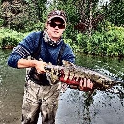 Profile Picture of Matthew Sessions (@sunbear3) on Twitter