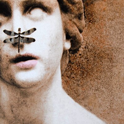 Profile Picture of Kelly Chaney (@earcutter) on Twitter