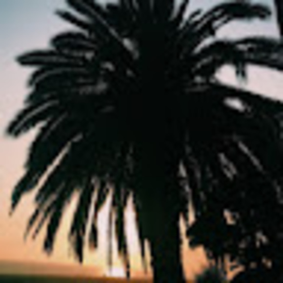 Alannah Crag-chaderton - Poshmark Profile Picture of Alannah Crag-chaderton (@alannahchad) on Poshmark