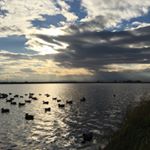 Profile Picture of Jared Port (@wally32_) on Instagram