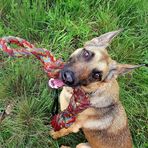 Profile Picture of Steve Raschke (@steve.s.raschke) on Facebook