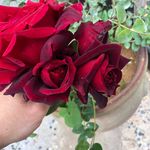 Profile Picture of Hager Ebrahim (@qtrgyth39) on Instagram