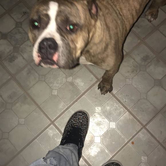 Severiano Luna - Poshmark Profile Picture of Severiano Luna (@severiano_luna) on Poshmark