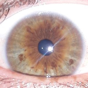 Profile Picture of David Vargas (@DaarK008) on Twitter