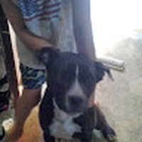 Profile Picture of Hugo Rivero (@hugo-rivero-7) on Quora