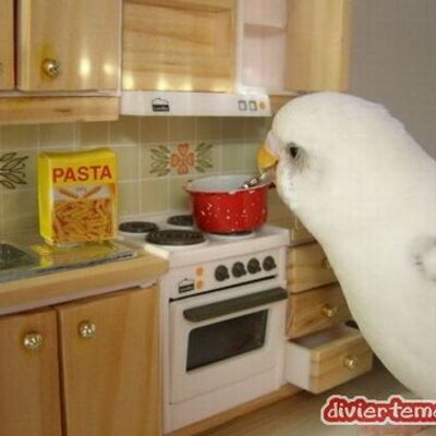 Itzel Castro - Twitter Profile Picture of Itzel Castro (@itzelcastro2) on Twitter