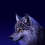 Profile Picture of Roger Boyette (@roger.77) on Instagram