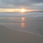 Profile Picture of Scott janus (@scott.janus) on Instagram