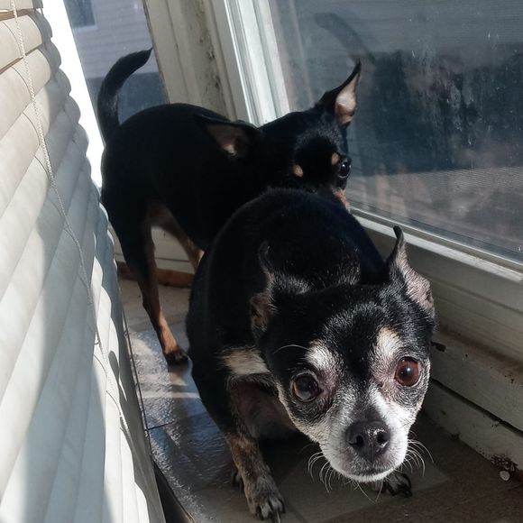 Profile Picture of Michael Glowacki (@michaelglowacki) on Poshmark