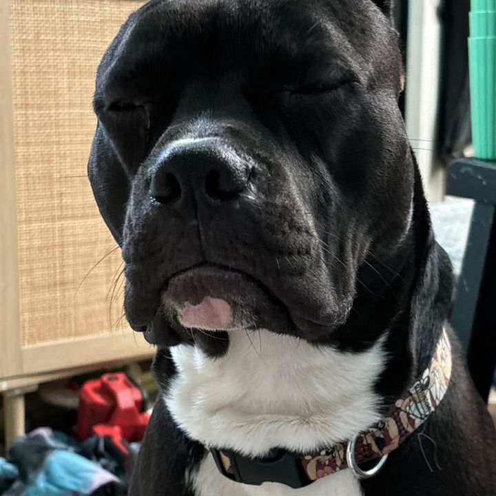 Profile Picture of Seth Abrahamson (@setheverettabrahamson) on Tiktok