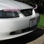 Profile Picture of Janet Messier (@janetmessier) on Pinterest