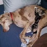 Scott Nobles - Instagram Profile Picture of Scott Nobles (@noblesscott) on Instagram