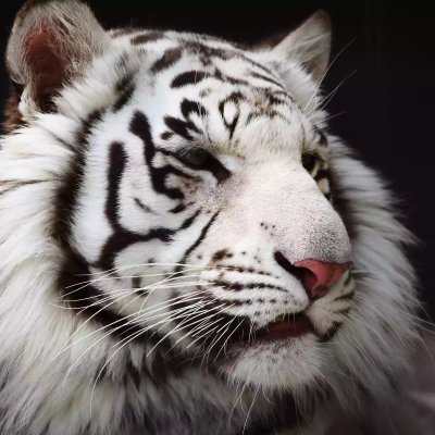 Profile Picture of Benny Richardson (@ben_rich19) on Twitter