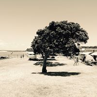 Profile Picture of Marcel Virtue (@marcelvirtue) on Pinterest