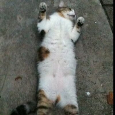 James Bostick - Twitter Profile Picture of James Bostick (@Ohred1) on Twitter