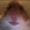 Profile Picture of Janette Pair (@@peanutp713) on Tiktok