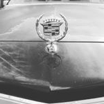 Profile Picture of Steven Perrott (@scperrott) on Instagram