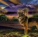 Profile Picture of Kim Mancuso (@kim.mancuso.750) on Facebook