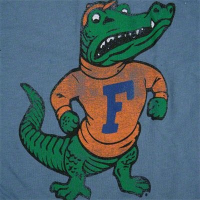 Profile Picture of Jason.Hamelin (@ufhambone) on Twitter