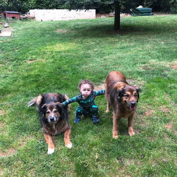 Profile Picture of Cheryl Wade (@wcheryl2021) on Poshmark