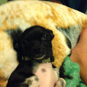 Profile Picture of Camiya Gaskins (@camiyagaskins1670) on Youtube