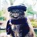 Profile Picture of Pavel Kot (@pavel.kot.1293) on Facebook