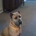 Profile Picture of Bailey Bode (@bailey.bode.73) on Facebook