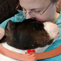 Profile Picture of Loretta Townsend (@loretta-townsend-2) on Quora