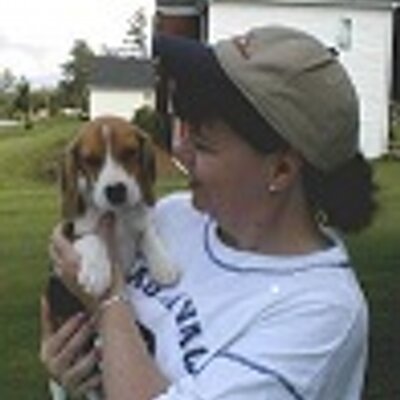 Profile Picture of Cindy McPheeters (@beagledog3) on Twitter