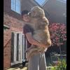 Profile Picture of Alex (@@alexanderslaney) on Tiktok