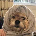 Profile Picture of Nicola Billups (@nicbillups77) on Instagram