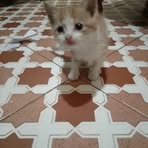 Profile Picture of Kyla Bianca (@onesmus.mwendwa.585) on Facebook