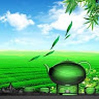 Profile Picture of Walker Sun (@walker-sun-6) on Quora