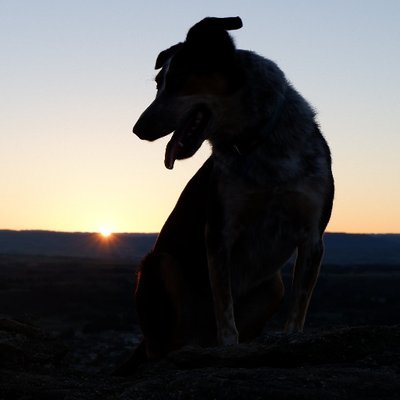 Profile Picture of Andy Davey (@andydavey) on Twitter