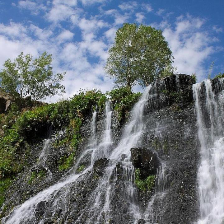 Profile Picture of thomasswart0 (@thomasswart0) on Tiktok