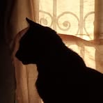 Profile Picture of Richard Bosseck (@richard.bosseck) on Facebook