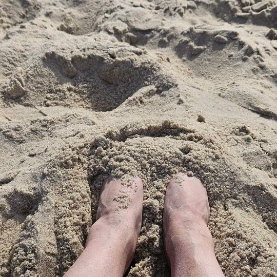 Profile Picture of Pam Glatfelter (@pglatfelter) on Tiktok