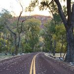 Sonia Orozco - Instagram Profile Picture of Sonia Orozco (@sonisonns) on Instagram