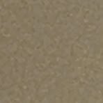 Profile Picture of Zachary Endsley (@zachary.endsley.127) on Facebook