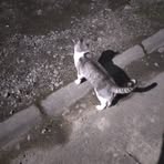 Profile Picture of Rigoberto Acuña (@Rigoberto-Acuña) on Facebook