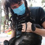 Profile Picture of Kevin Perdomo (@principemecanico) on Instagram