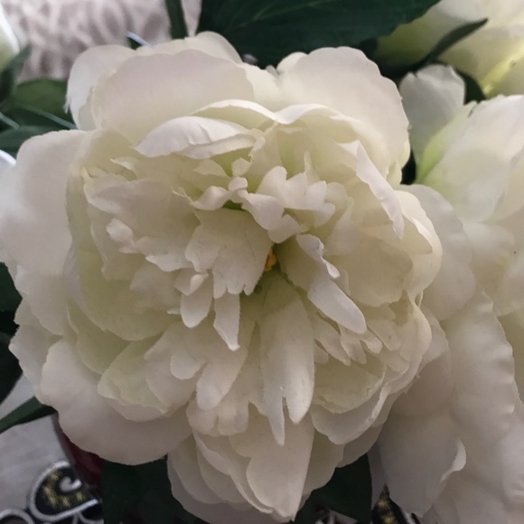 Inna Inna - Poshmark Profile Picture of Inna Inna (@innaani) on Poshmark