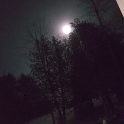 Profile Picture of Donna Bonner (@DonnaBo97495776) on Twitter