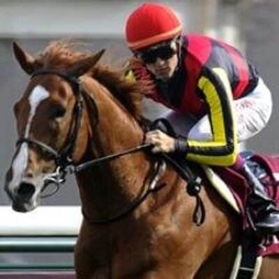 Derek Gamblepunt - Twitter Profile Picture of Derek Gamblepunt (@DerekGamblepunt) on Twitter