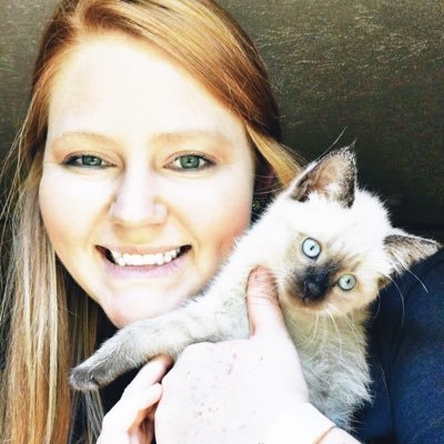 Profile Picture of Chelsea Neely (@ChelseaNeely7) on Twitter