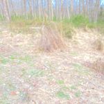 Profile Picture of Robert Mahon (@robert_mahon) on Instagram